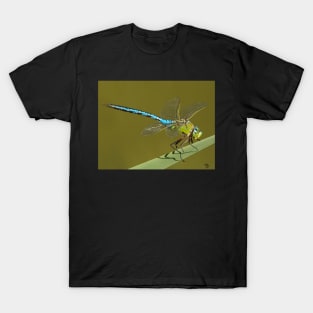 Emperor Dragonfly T-Shirt